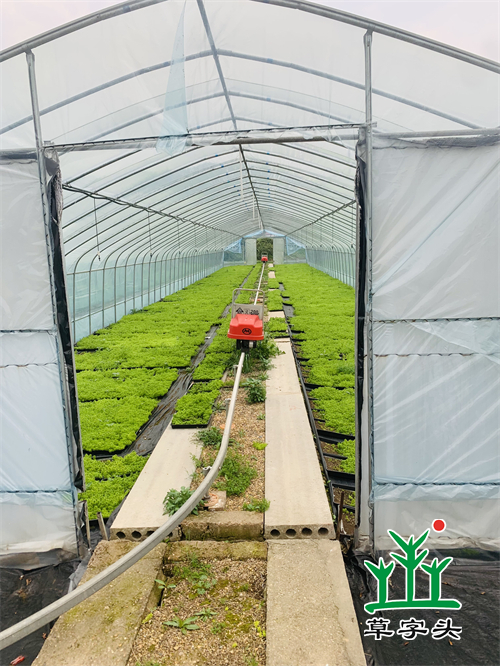 湖南完美体育生态环境建设有限公司,人造草坪假草皮,湖南雨水收集处理工艺